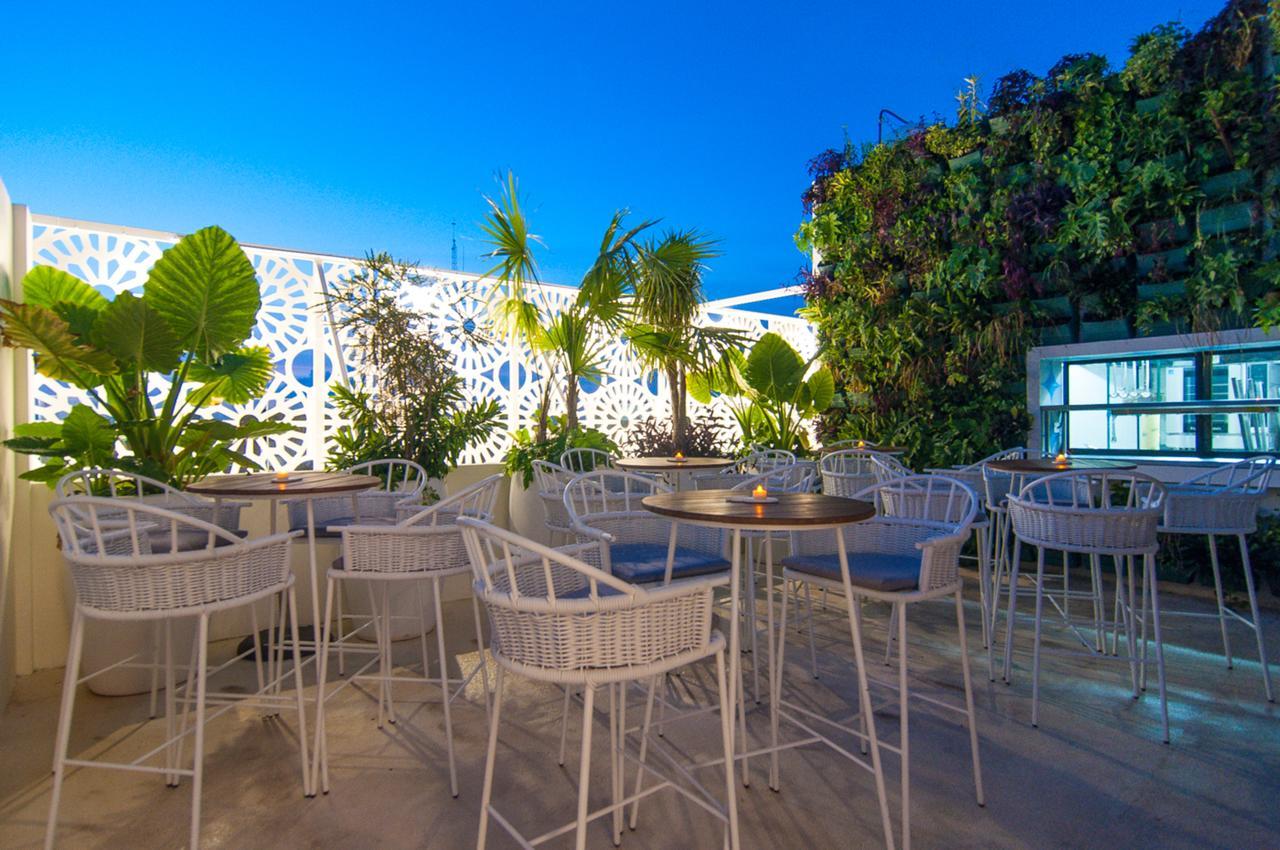 Hotel Morgana By Iter Sensibus Playa del Carmen Eksteriør billede